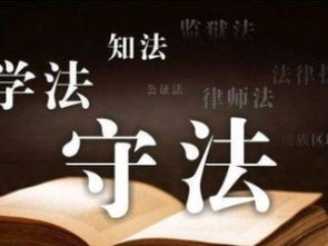 深圳免費(fèi)法律咨詢指南 專(zhuān)業(yè)知識(shí)產(chǎn)權(quán)、商務(wù)糾紛與婚姻家庭關(guān)系解析